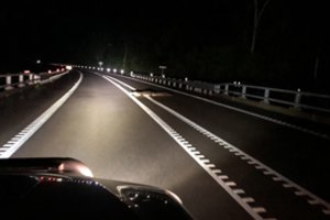 Netikėtą kliūtį kelyje pamatęs vairuotojas pašiurpo