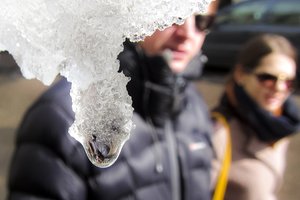 Netrukus pakvips pavasariu: sušils iki 6 laipsnių
