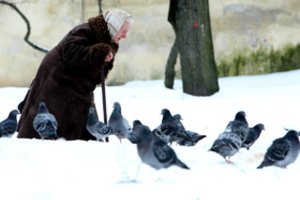 „Sodra“ laukiantiems pensijų: jos nebevėluos ir net bus kitokios