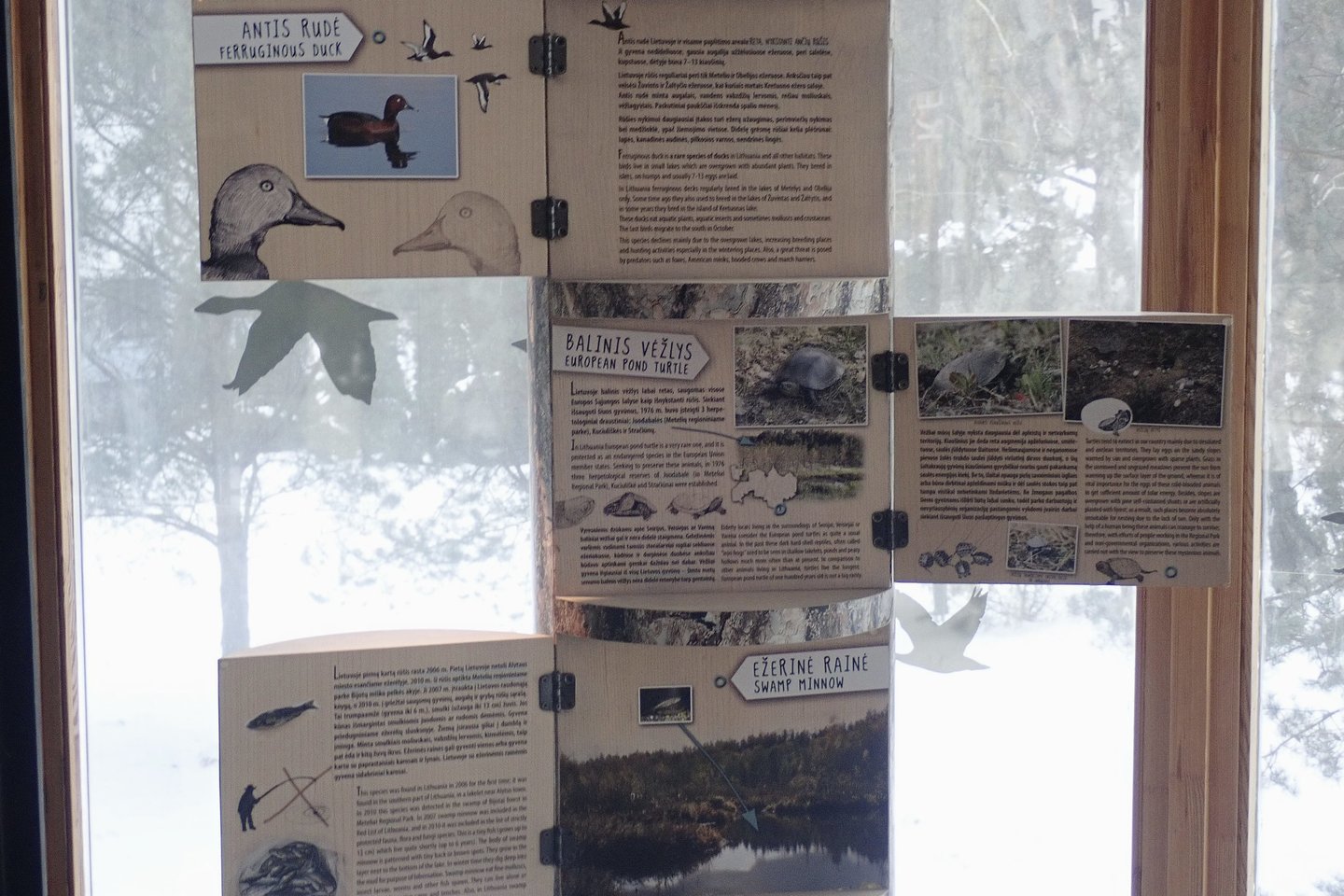 Informacija apie parke esančių ežerų kilmė bei gyvūniją patalpinta „medžių kamienuose“.<br> A.Srėbalienės nuotr.
