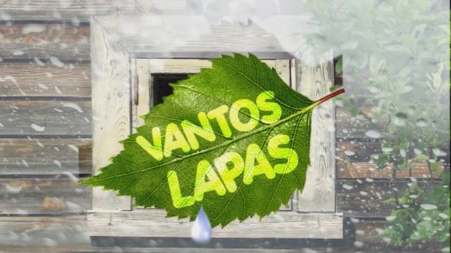 Vantos lapas 2019-02-09