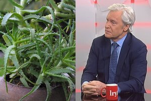 Profesorius prisiminė, kaip jį gydydavo mama: „Tos priemonės tikrai veikė“