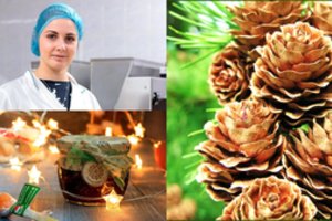 Šeima iš Rusijos ryžosi neįtikėtinam verslui: tam pasitarnavo „išdykę“ kankorėžiai