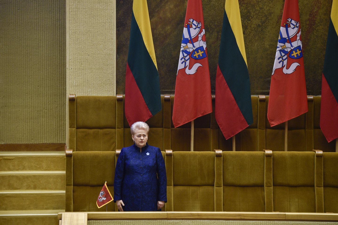 Prezidentė Dalia Grybauskaitė.<br>V.Ščiavinsko nuotr.