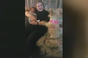 Pirmą kartą naujagimį pamačiusio šunelio reakcija sujaudino iki ašarų
