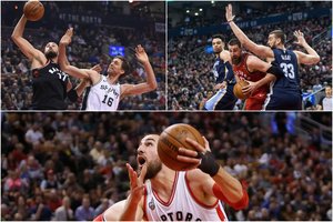 J. Valančiūnas Memfyje žengs brolių Gasolių pėdomis