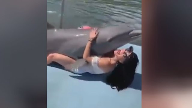 Gražuolė bandė apkabinti delfiną – dabar juokaujama, kad taip gimsta undinės