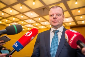 S. Skvernelis apie santykius su D. Grybauskaite: „Negražų žodį paminėčiau“
