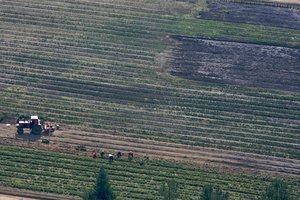 Investicijoms į žemės ūkio valdas – papildomos paramos lėšos