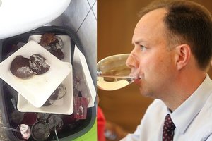 Ministro Aurelijaus Verygos blynai vos tilpo į šiukšlių dėžes