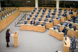 Valstiečiai gegužę nori surengti referendumą dėl Seimo narių skaičiaus sumažinimo