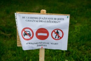 Ekspertai vertina, kaip Lietuva naudoja ES lėšas kovai su kiaulių maru