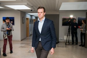 G. Landsbergis: R. Karbauskis ir S. Skvernelis nebeatlaiko įtampos