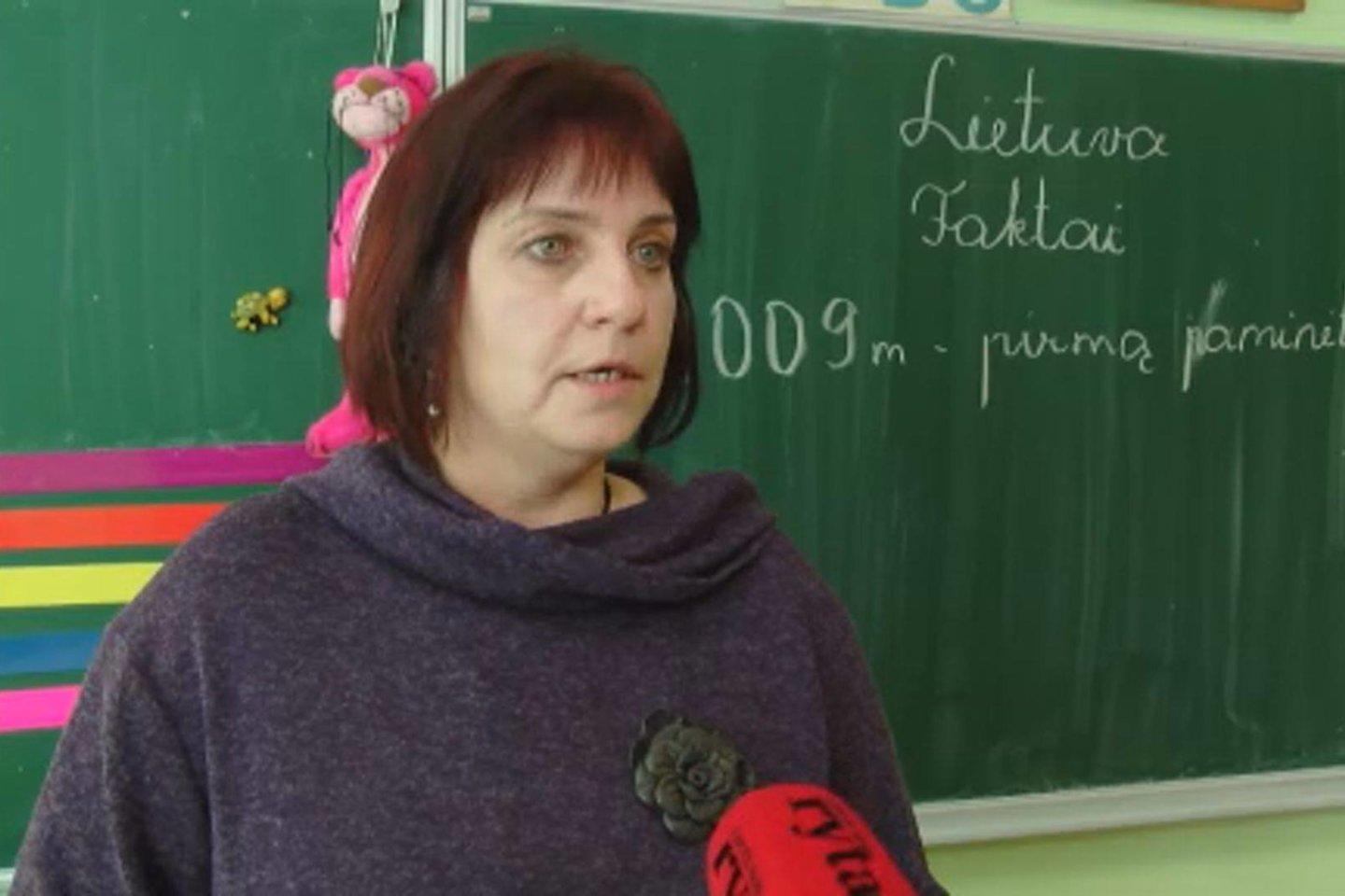 Pradinių klasių mokytoja Renata Armonienė.<br>„Lietuvos ryto“ televizijos stopkadras.