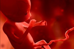 Nepritarta siūlymui embrionų saugojimo kaštus po kurio laiko perkelti valstybei