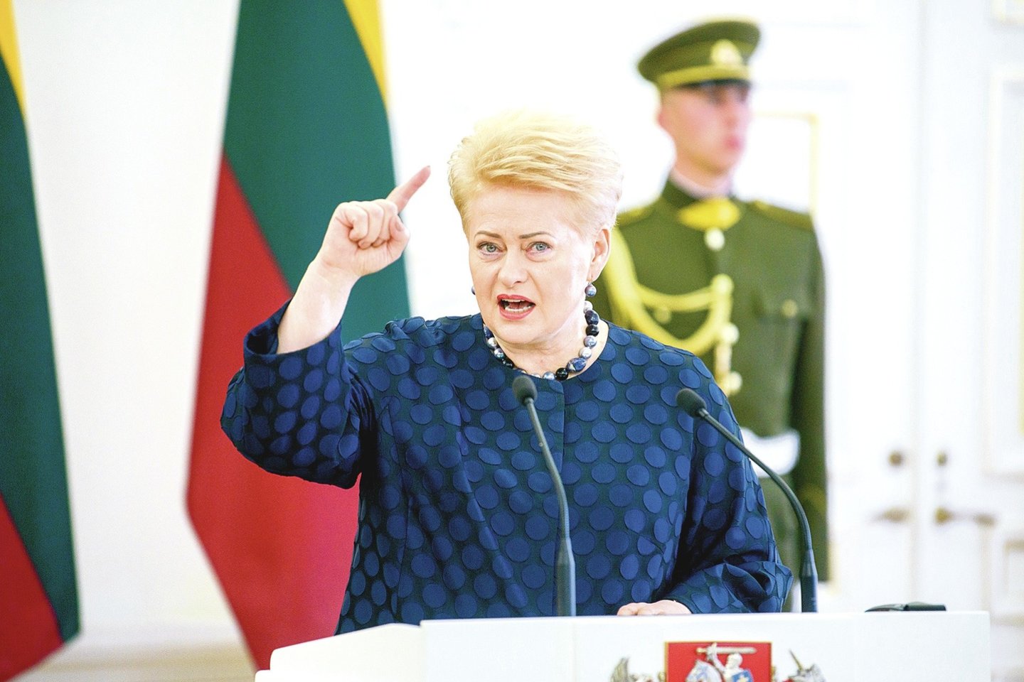 V.Kavaliauskui praeityje teko dirbti su D.Grybauskaite, jie nebuvo susipykę.<br>J.Stacevičiaus nuotr.