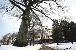 Buvęs slapčiausias Kauno pastatas – dar ir šiandien jo sienos gąsdina 