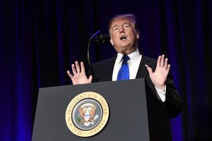 D. Trumpas skelbs „nepaprastąją padėtį“, kad gautų finansavimą sienai