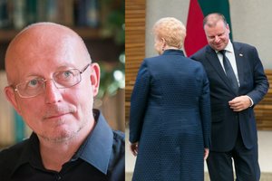 A. Valinską nustebino D. Grybauskaitės elgesys: „Tai – dovana S. Skverneliui“