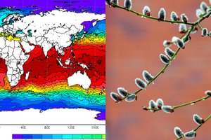 Klimatologas: anomalijos tęsis, bet tai dar ne pavasaris