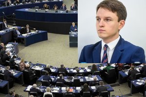 L. Kojala apie Europos Parlamento rinkimus: jie bus įdomiausi per visą parlamento istoriją
