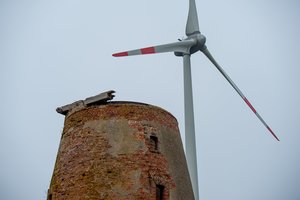 Laura Galdikienė. Kai pučia vėjas, reikia statyti malūnus
