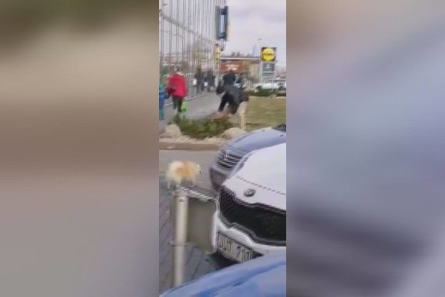  Pilietiškas šiaulietis nufilmavo, kaip vagišius bandė įsibrauti į automobilį. <br> Stop kadras iš facebook tinkle paviešinto vaizdo įrašo.