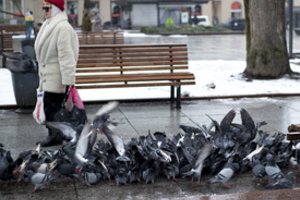 10 dalykų, kuriuos reikia žinoti apie pensijos kaupimą