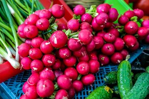 Artėja ridikėlių derlius: tai daržovės, kurių maistines medžiagas itin lengvai pasisavina organizmas