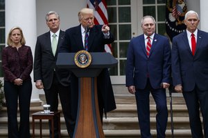 16 JAV valstijų teisme apskundė D. Trumpo sprendimą skelbti nepaprastąją padėtį 