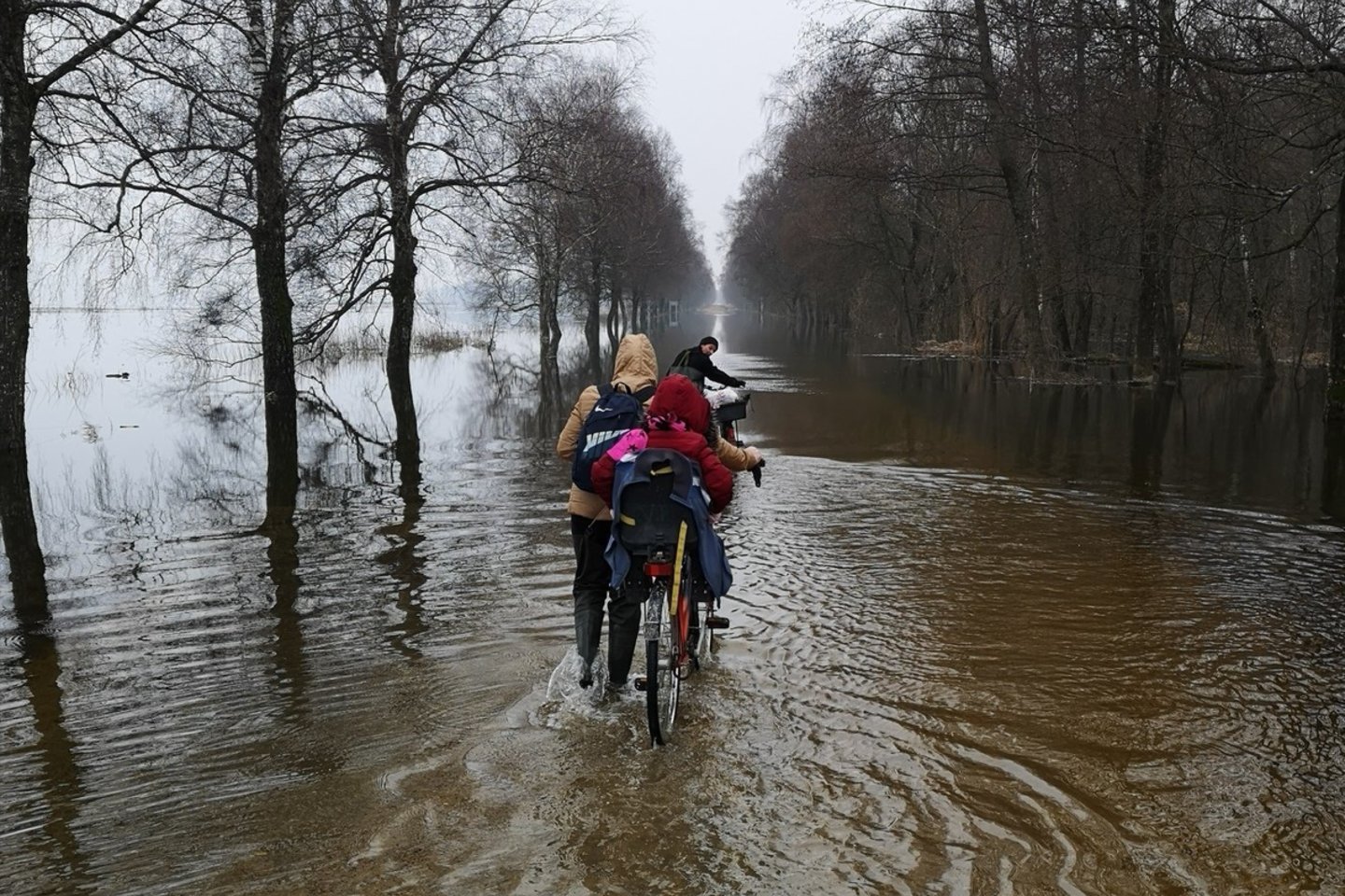 Potvynis Rusnėje.<br>R.Danisevičiaus nuotr.