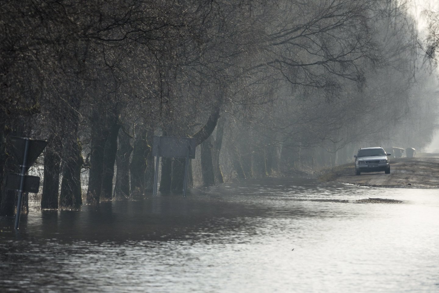 Potvynis Rusnėje.<br> V.Ščiavinsko nuotr.