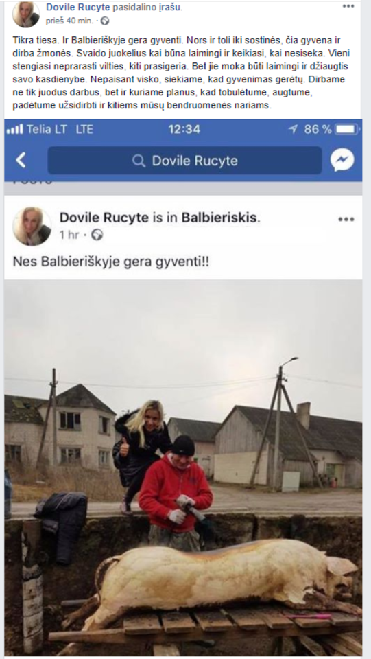 Su skerdžiama kiaule įsiamžinusi kandidatė į Prienų rajono merus Dovilė Ručytė: ne miestui tai suprast.<br>„Facebook“ nuotr.