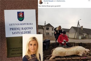 Kandidatės į merus išmonė – įsiamžino su skerdžiama kiaule: su žiurke to lyginti negalima