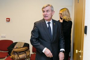 Vargai dėl šlubos liudytojų atminties: V. Pranckietis aiškinosi A. Širinskienei