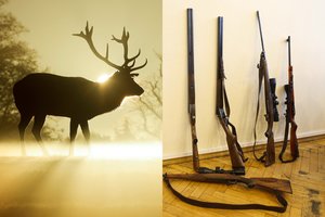 Dviem medžiotojams už brakonieriavimą – skausmingas teismo kirtis