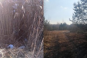 Atokiame durpyne prie Mažeikių žiauraus nusikaltimo įkalčius slėpė juodame maiše