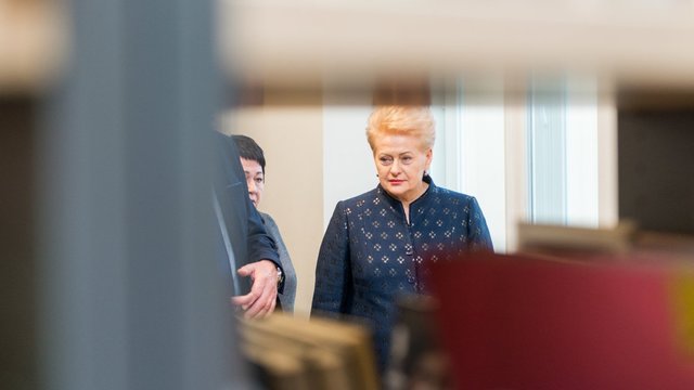 D. Grybauskaitė apie korupcijos skandalą: „Triukšme turime matyti pagrindinę liniją“