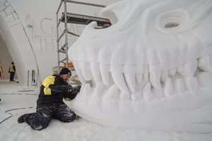 Vilnietis „Sostų karų“  gerbėjas  savo talentu nustebino suomius  