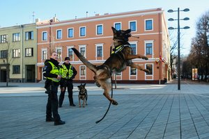 Keturkojų pareigūnų kasdienybė: „Vieni ieško narkotikų, kiti lavonų“