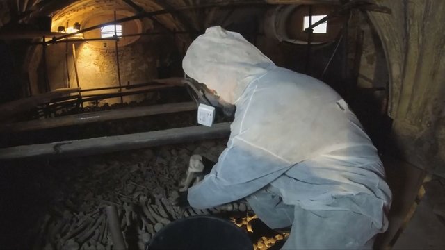 Ėmėsi neįprastos užduoties: ekspertai restauruos 40 tūkst. žmonių kaulus