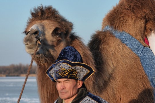 XXI amžius Rusijoje: už šalies stiprybę sudegino gyvus penkis kupranugarius