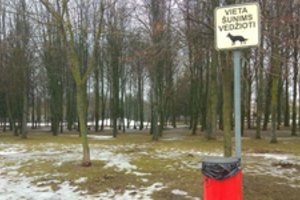 Parodė tikrąjį lietuvių elgesį: nėra kur kojos pastatyt