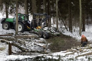 Miške prie Kupiškio žuvo medkirtys, pagalbą iškvietė girtas jo porininkas