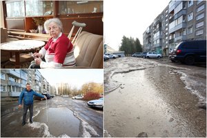 A. Stulginskio bute gyvenanti kaunietė pasakė: dėl duobių jai bus gėda sutikti svečius