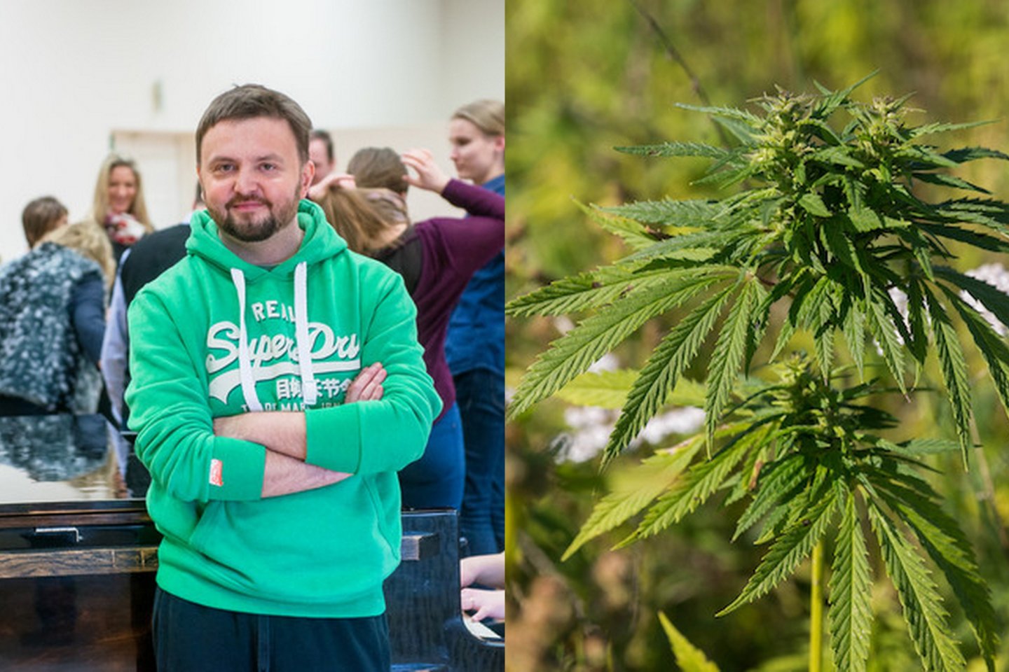 Onkologinėmis ligomis sergantiems pacientams gyvybiškai būtinus kanapių preparatus draudžia Lietuvos įstatymai.