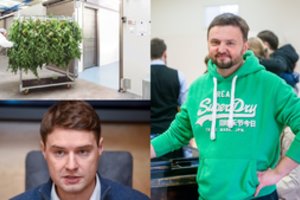 Ligoniams, laukiantiems vaistų iš kanapių, – viltį žlugdanti žinia