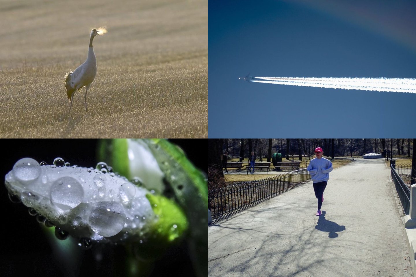 Klimatologai prognozuoja šiltesnį nei įprastai pavasarį.
