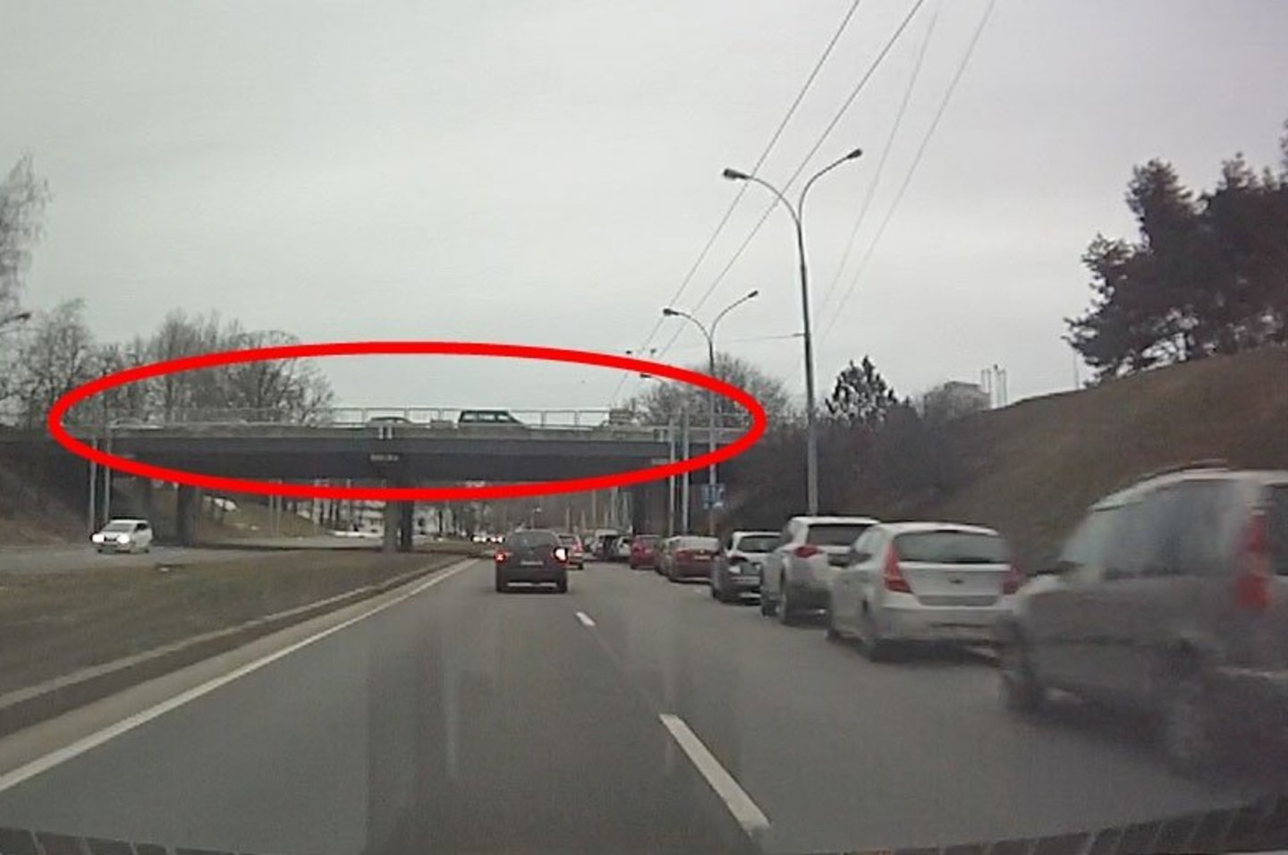 Atvykusiems į knygų mugę nuosavais automobiliais kai kuriems vairuotojams Kelių eismo taisyklės nieko nereiškia.<br> Stop kadras iš vaizdo medžiagos