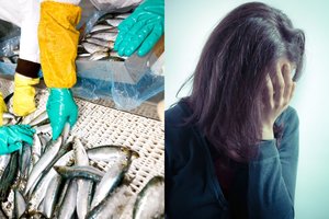 Žuvų fabrike Airijoje atsidūrusi lietuvė liejo karčias ašaras